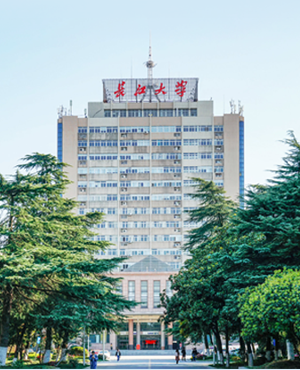 51精品免费视频国产专区