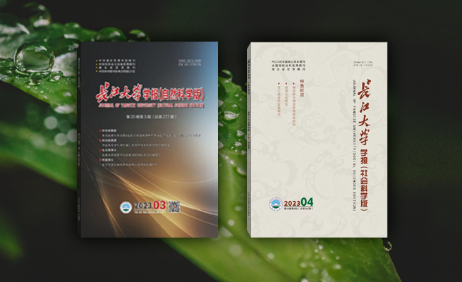 51精品免费视频国产专区