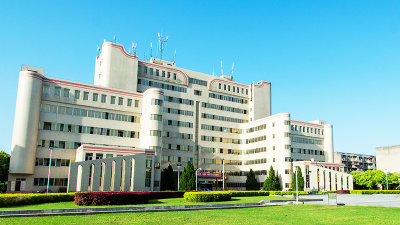 51精品免费视频国产专区